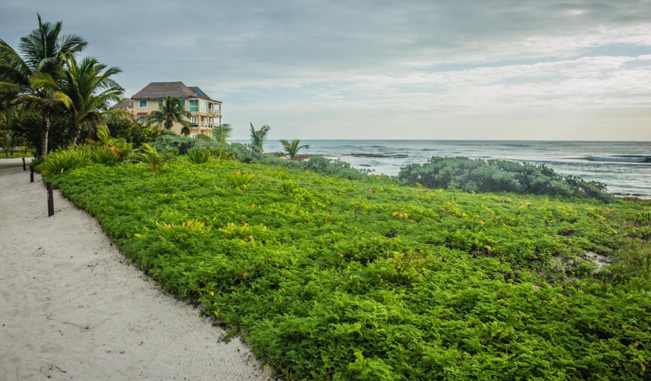 Caleta Tankah Hotel Tulum Eksteriør billede